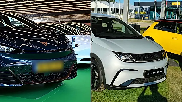 CUPRA Born vs BYD Dolphin: links die dunkelblaue CUPRA-Front, rechts der weiße BYD von schräg vorn