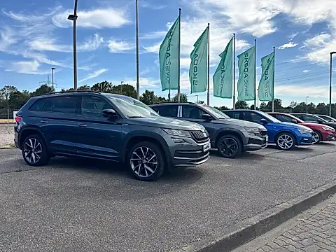 Škoda Aktion 2026: Kodiaq, Karoq und Scala nebeneinander auf dem Hof in Wiesloch